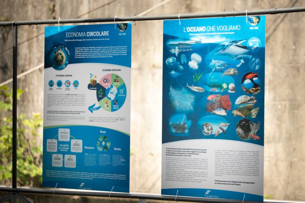 WhatsApp Image 2023 05 24 At 16.42.42(3)