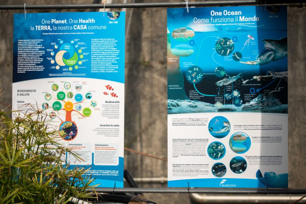 WhatsApp Image 2023 05 24 At 16.42.43(1)