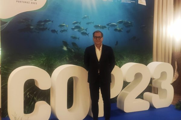 WhatsApp Image 2023 12 15 At 16.06.58