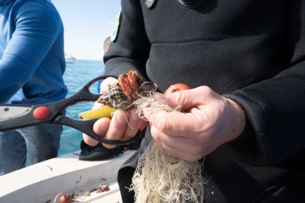 DSC 7863 2 DSC 7863 2