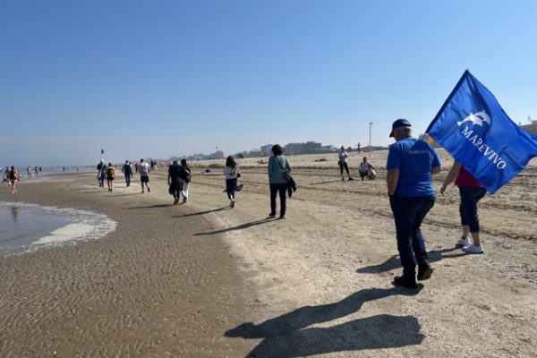 393231E4 776A 430C ABA5 FCDB48D3B9C4 1 105 C