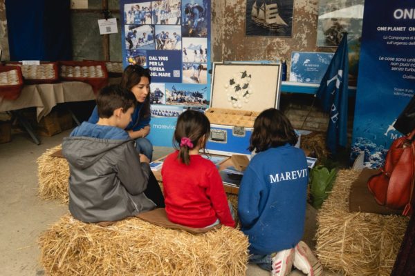 WhatsApp Image 2024 04 25 At 16.46.12 WhatsApp Image 2024 04 25 At 16.46.12