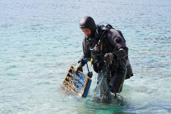 DSC09633 (1) DSC09633 (1)