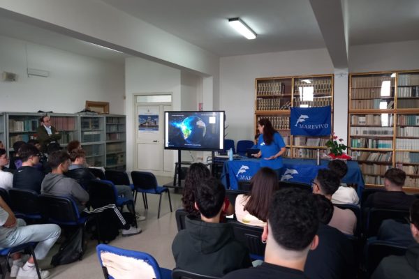 WhatsApp Image 2024 05 08 At 10.36.14 WhatsApp Image 2024 05 08 At 10.36.14