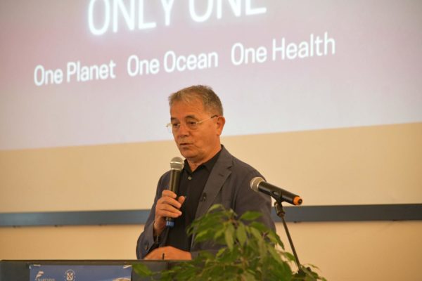 WhatsApp Image 2024 05 31 At 15.26.31