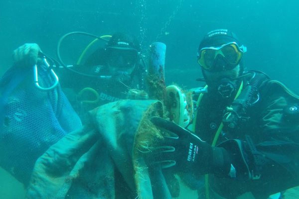 A62ed48e 98d6 4580 B37a Ec77c5edee02 A62ed48e 98d6 4580 B37a Ec77c5edee02