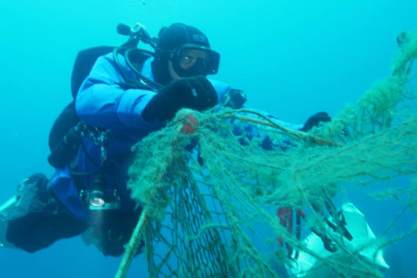Divisione Subacquea Marevivo Rete Relitto Pavlos 4 Divisione Subacquea Marevivo Rete Relitto Pavlos 4