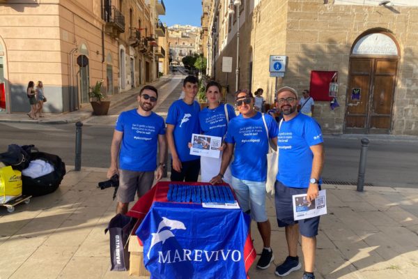 IMG 20240720 WA0233 IMG 20240720 WA0233