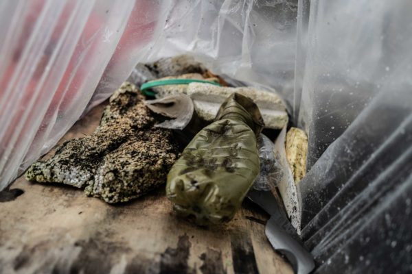 @credits Lorenzo Zelaschi (15)