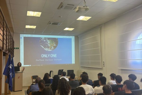 Only One A Civitavecchia (3)