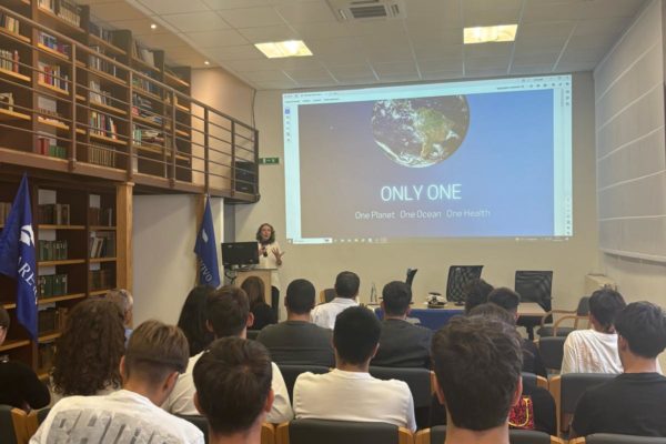 Only One A Civitavecchia (7)