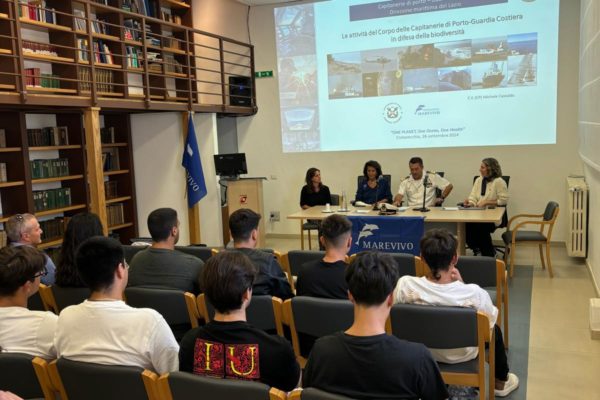 Only One A Civitavecchia (8)