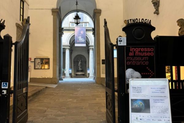 PHOTO 2024 11 18 20 48 57 1