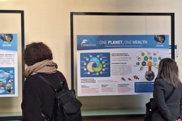 PHOTO 2024 11 18 20 49 54