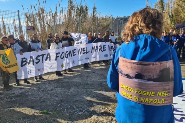 PHOTO 2024 12 15 15 48 53 1 PHOTO 2024 12 15 15 48 53 1