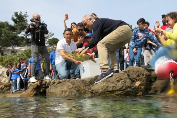 PHOTO 2025 03 24 11 30 01