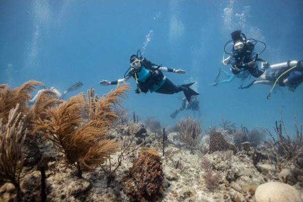 Marine Conservation Center (4)