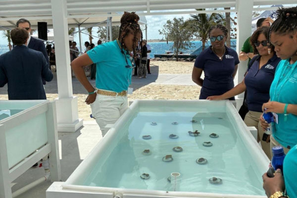 Marine Conservation Center (5)