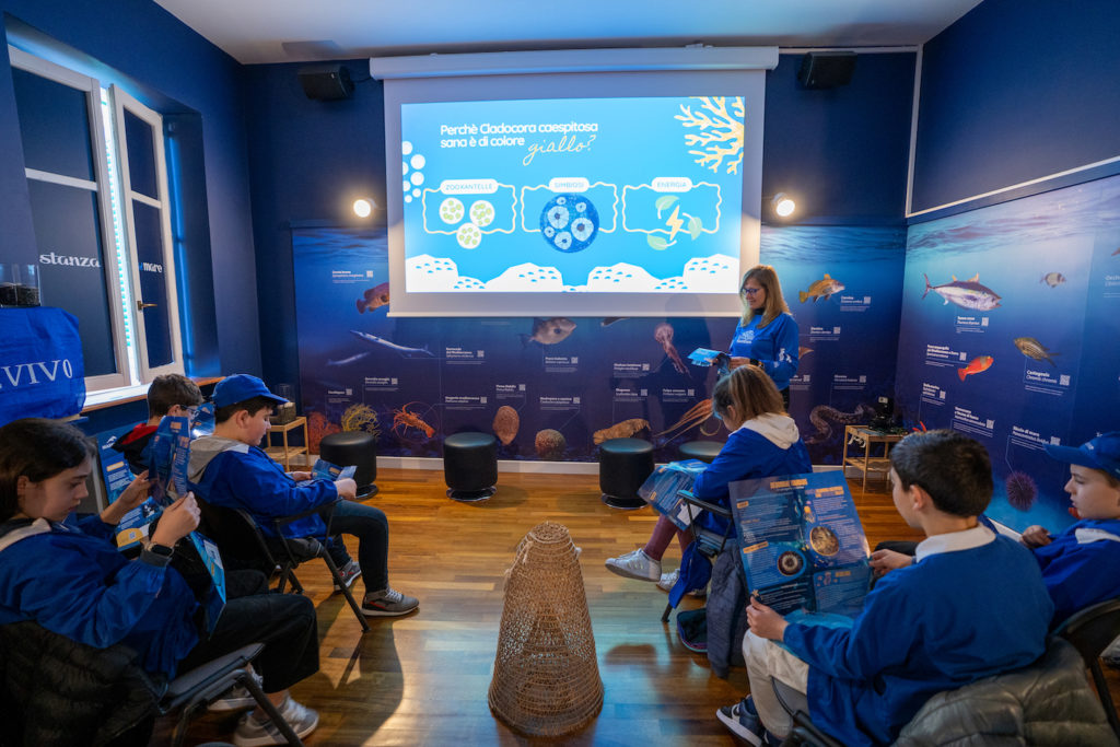 MedCoral Guardians 1