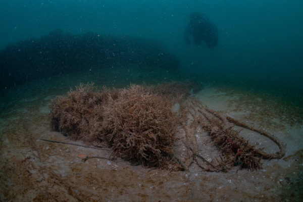 Recupero Rete Caorle 14