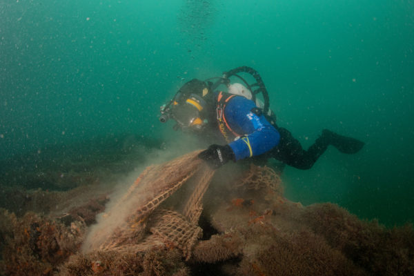 Recupero Rete Caorle 2