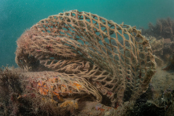 Recupero Rete Caorle 5