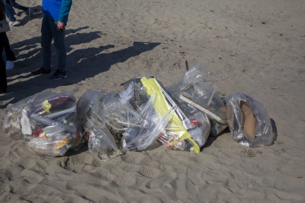 Clean Up Mezzatorre Ischia (13)