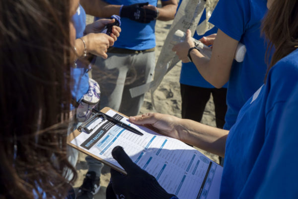 Clean Up Mezzatorre Ischia (6)