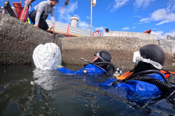 Photo 16 2025 03 28 12 26 24