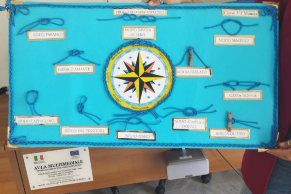 Delfini Guardiani La Maddalena 1