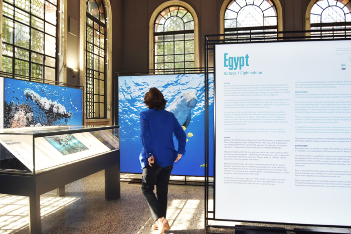 WhatsApp Image 2025 05 12 At 15.14.45 (1)