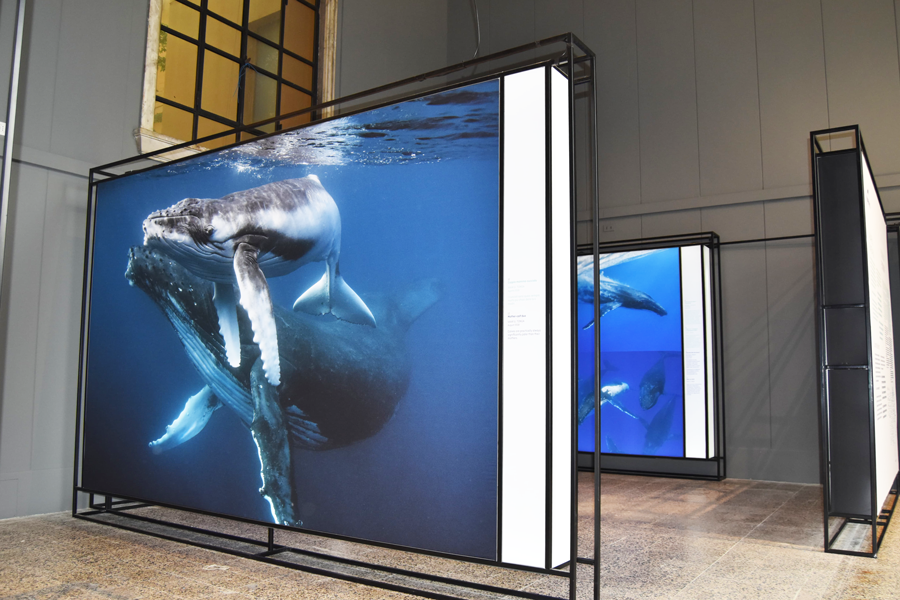 WhatsApp Image 2025 05 12 At 15.14.53 (1)