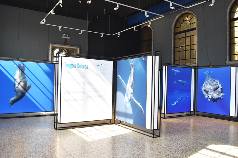 WhatsApp Image 2025 05 12 At 15.14.56