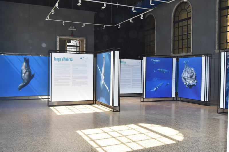 WhatsApp Image 2025 05 12 At 15.14.59