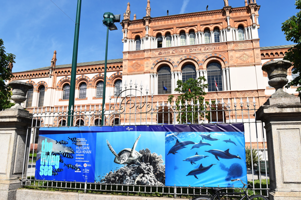 WhatsApp Image 2025 05 12 At 15.15.13