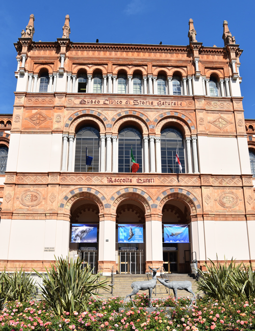 WhatsApp Image 2025 05 12 At 15.15.17