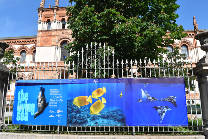 WhatsApp Image 2025 05 12 At 15.15.18