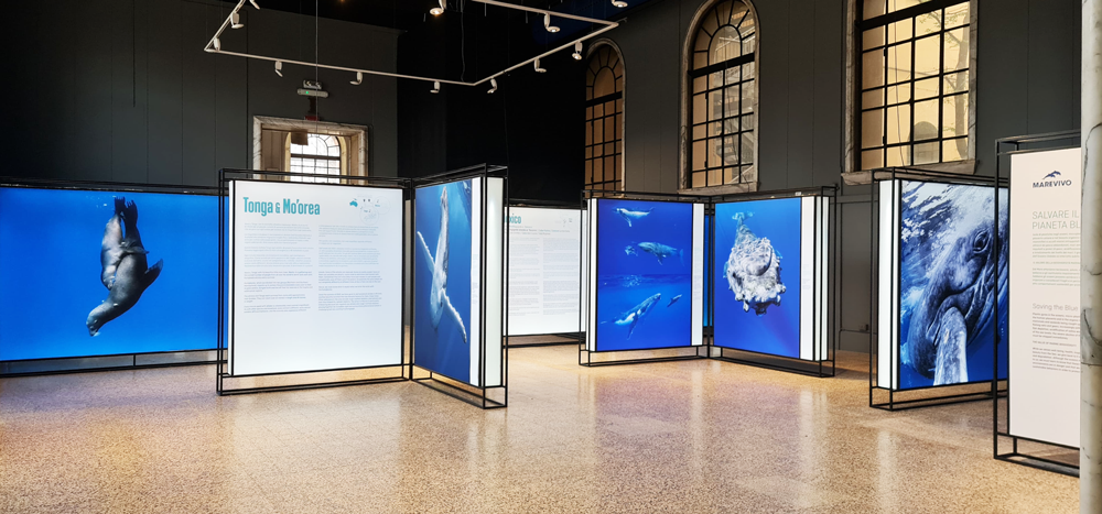 WhatsApp Image 2025 05 12 At 15.15.53 (1)