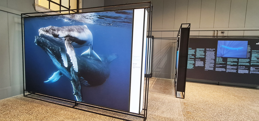 WhatsApp Image 2025 05 12 At 15.15.54