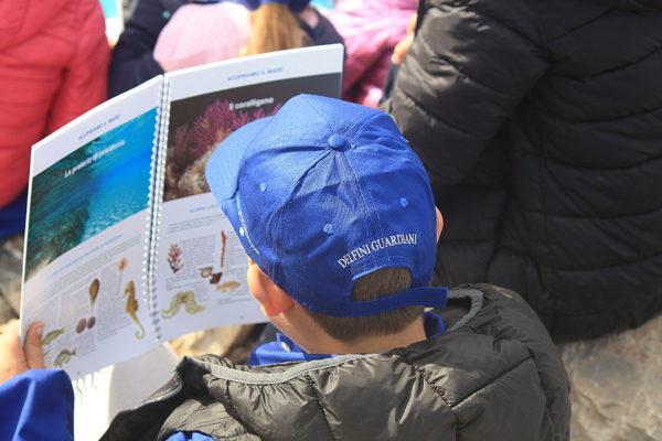 Delfini Guardiani 10