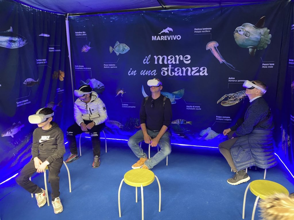 IMG 8608 2.JPG Copia