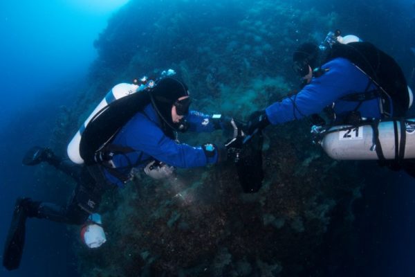 Marevivo Ph Filippo Borghi 10