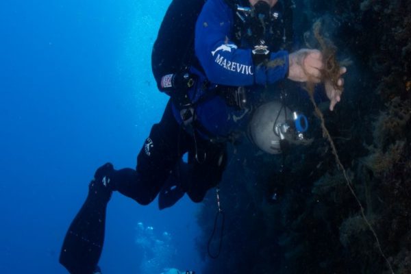 Marevivo Ph Filippo Borghi 11