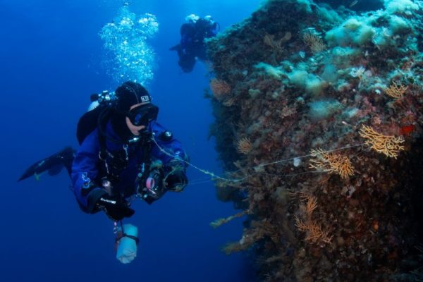 Marevivo Ph. Filippo Borghi 3