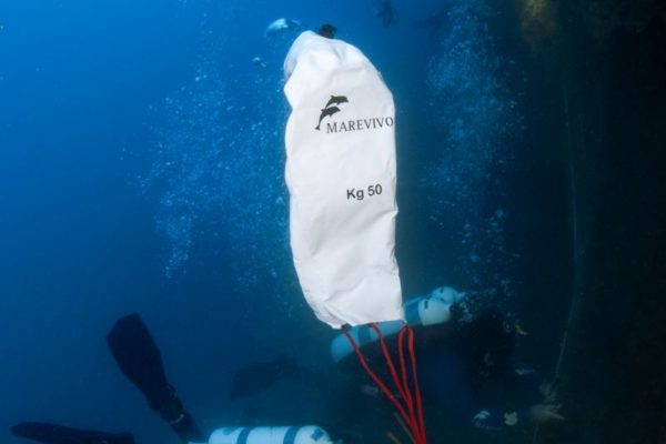 Marevivo Ph. Filippo Borghi 4