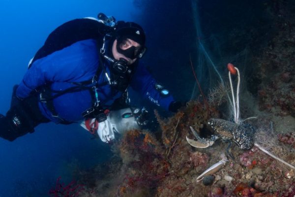 Marevivo Ph. Filippo Borghi 5