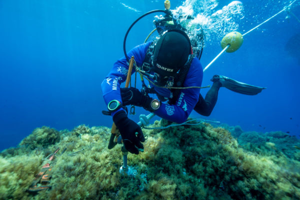 MedCoral Guardians Ustica Boe 5