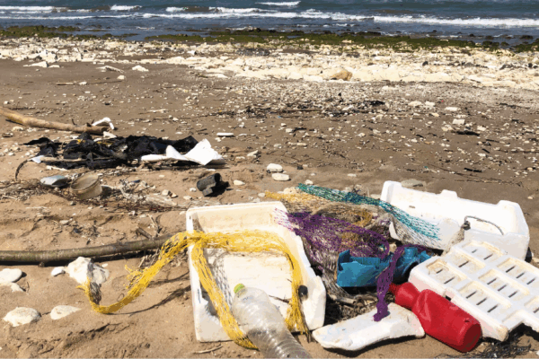 Inquinamento Cassette Sulla Spiaggia 2