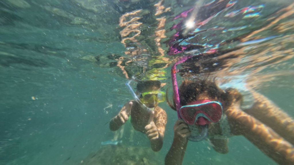 MedCoral Estate 2025 AMPPC (4) (1)