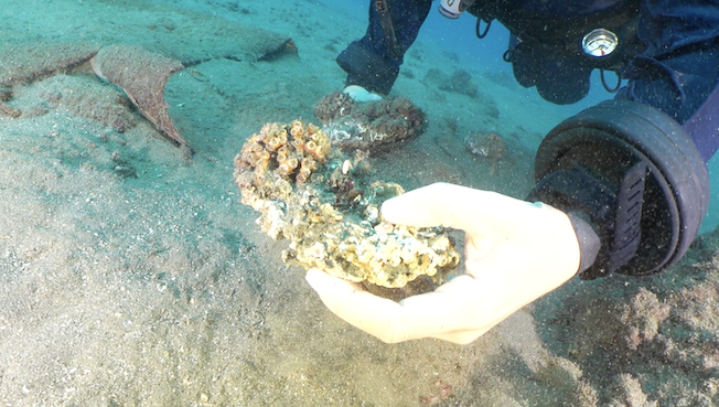 Screenshot 2025 12 14 Alle 14.37.53